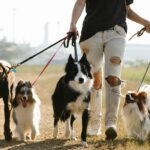 10 Ideias de Renda Extra